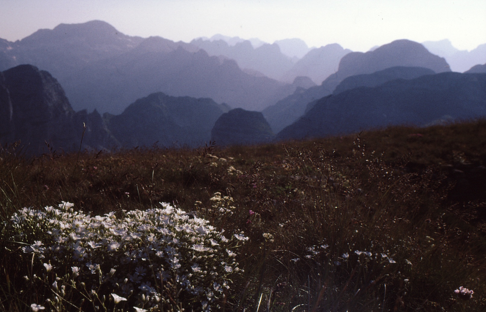 hřebínky z vrcholu  Maja Kalata 2528m